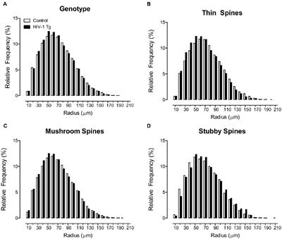 Synaptic Connectivity in Medium Spiny Neurons of the Nucleus Accumbens: A Sex-Dependent Mechanism Underlying Apathy in the HIV-1 Transgenic Rat